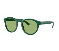 Lunettes de soleil Polo Ralph Lauren PH4192 6141/2 51-21