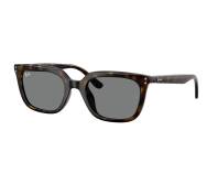 Lunettes de soleil Ray-Ban RB4439D 710/87 54-21