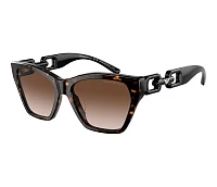 Lunettes de soleil Emporio Armani EA4203U 502613 55-17