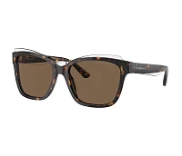 Lunettes de soleil Emporio Armani EA4209 605273 54-17