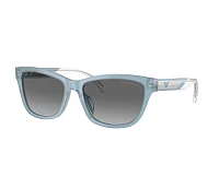 Lunettes de soleil Emporio Armani EA4227U 609611 56-17