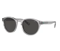 Lunettes de soleil Polo Ralph Lauren PH4192 541387 51-21