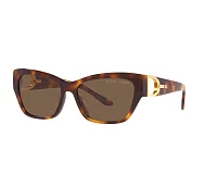 Lunettes de soleil Ralph Lauren RL8206U 530373 57-16