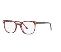 Lunettes de vue Ray-Ban RX5397 8175 50-19