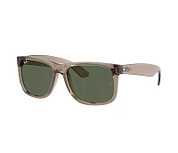 Lunettes de soleil Ray-Ban RB4165 691871 51-16