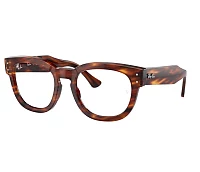 Lunettes de vue Ray-Ban RX0298V 2144 50-21