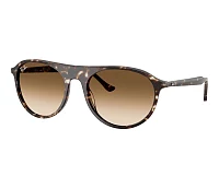 Lunettes de soleil Ray-Ban RB2215 143151 56-20