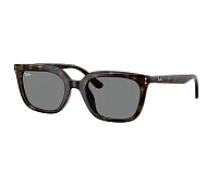 Lunettes de soleil Ray-Ban RB4439D 710/87 54-21