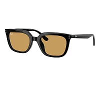 Lunettes de soleil Ray-Ban RB4439D 901/73 54-21