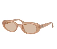 Lunettes de soleil Ray-Ban RB4441D 678793 53-21