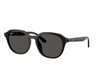 Lunettes de soleil Ray-Ban RB4459D 901/87 54-19