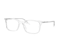 Lunettes de vue Ray-Ban RX5421 2001 53-19