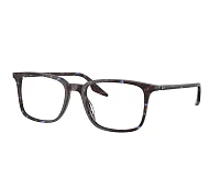 Lunettes de vue Ray-Ban RX5421 8424 53-19