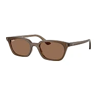 Lunettes de soleil Ray-Ban RB4456 677973 53-19