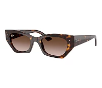 Lunettes de soleil Ray-Ban RB4430 135913 49-22