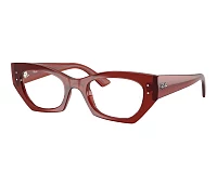 Lunettes de vue Ray-Ban RX7330 8436 49-22