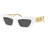 Lunettes de soleil Versace VE4432U 401/87 53-20