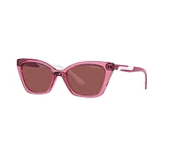 Lunettes de soleil Vogue Eyewear VJ2020 306569 48-16