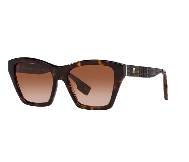 Lunettes de soleil Burberry BE4391 300213 54 17 Marron