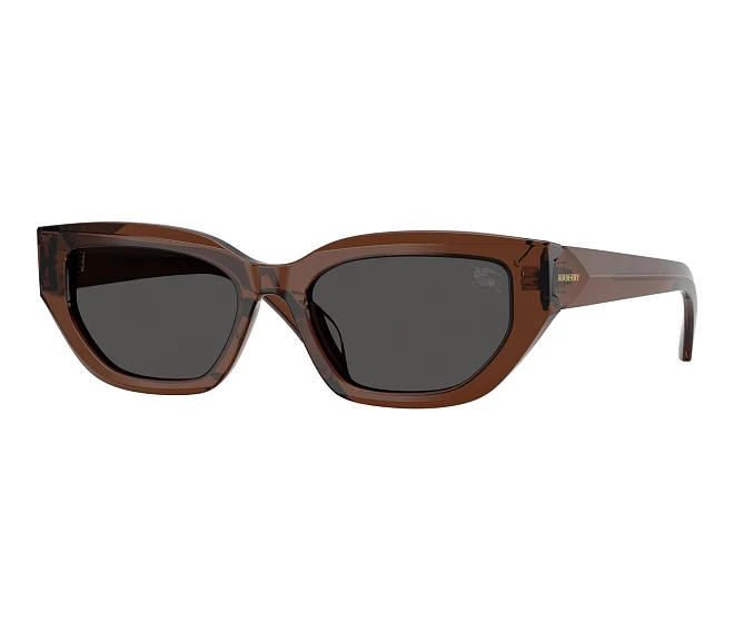 Lunettes de soleil Burberry BE4463D 411687 54 18 Marron