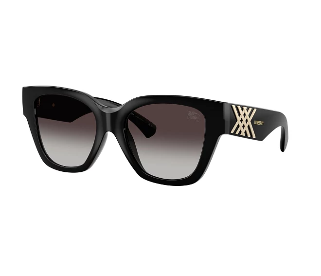 Lunettes de soleil Burberry BE4489U 300187 53 19 Noir