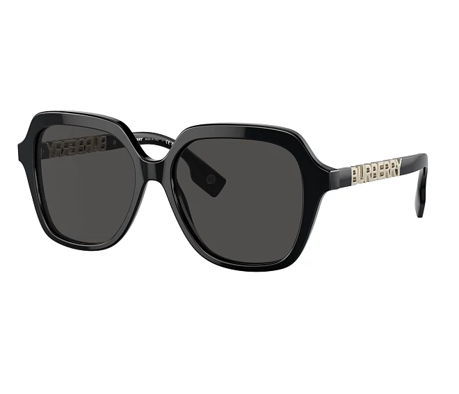 Lunettes de soleil Burberry BE4389 300187 55 16 Noir
