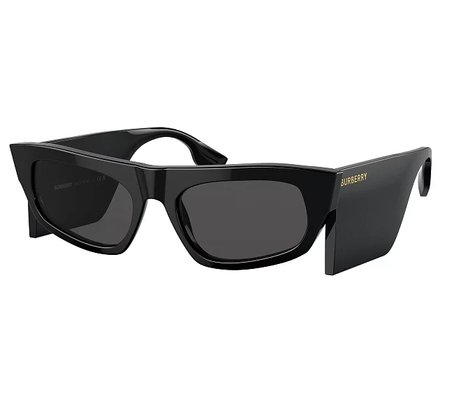 Lunettes de soleil Burberry BE4385 300187 55 19 Noir