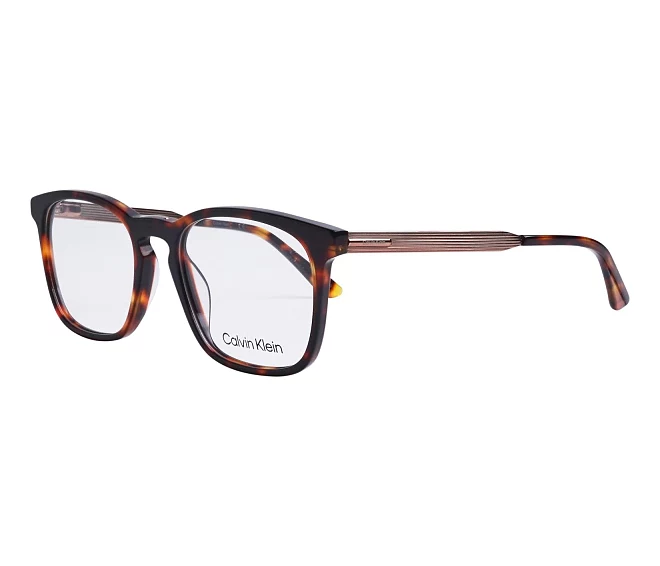 Lunettes de vue Calvin Klein CK-22503 609 53 19 HavaneOr noyé