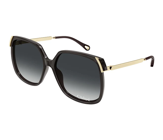 Lunettes de soleil Chloe CH0286S 001 60 15 Gris
