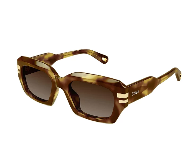 Lunettes de soleil Chloe CH0256S 002 53 20 Havane