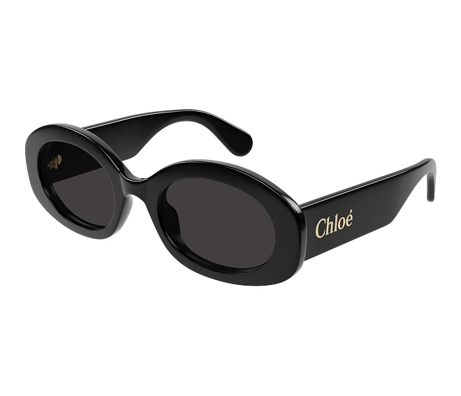 Lunettes de soleil Chloe CH0258S 001 53 22 Noir
