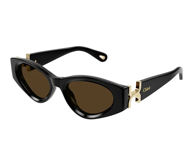 Lunettes de soleil Chloe CH0259S 001 52 19 Noir