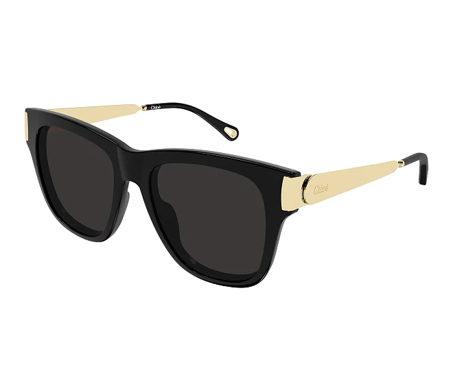 Lunettes de soleil Chloe CH0349S 001 54 18 Noir