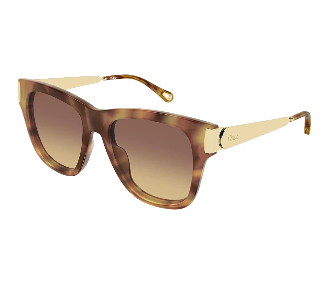 Lunettes de soleil Chloe CH0349S 002 54 18 Havane