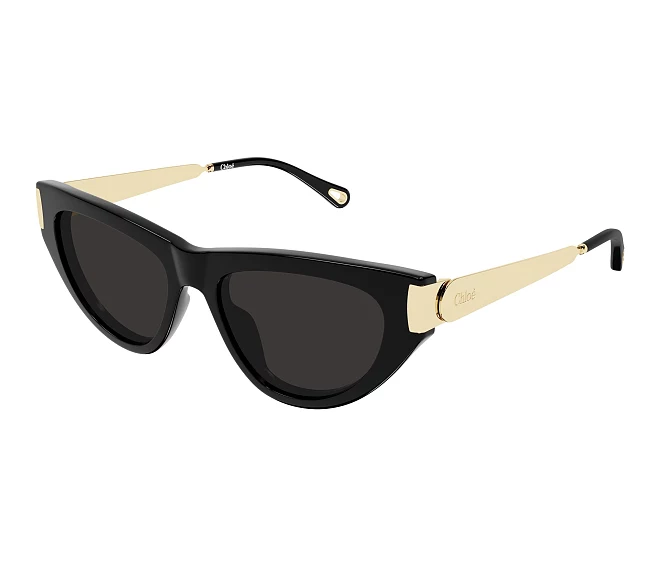 Lunettes de soleil Chloe CH0350S 001 54 17 Noir