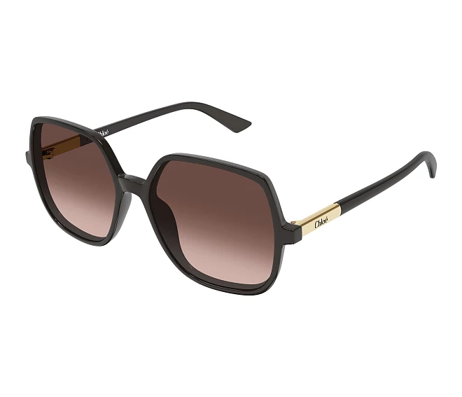 Lunettes de soleil Chloe CH0362S 003 55 16 Gris