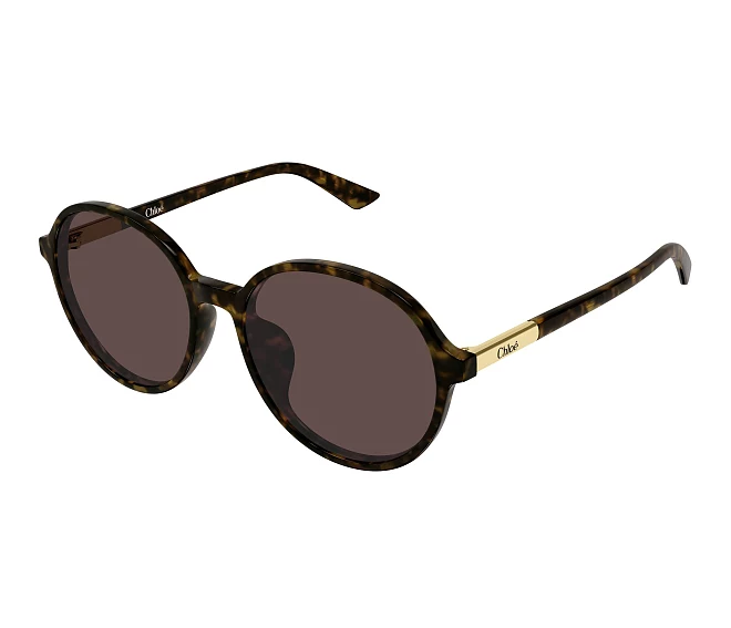Lunettes de soleil Chloe CH0365SK 002 57 17 Havane