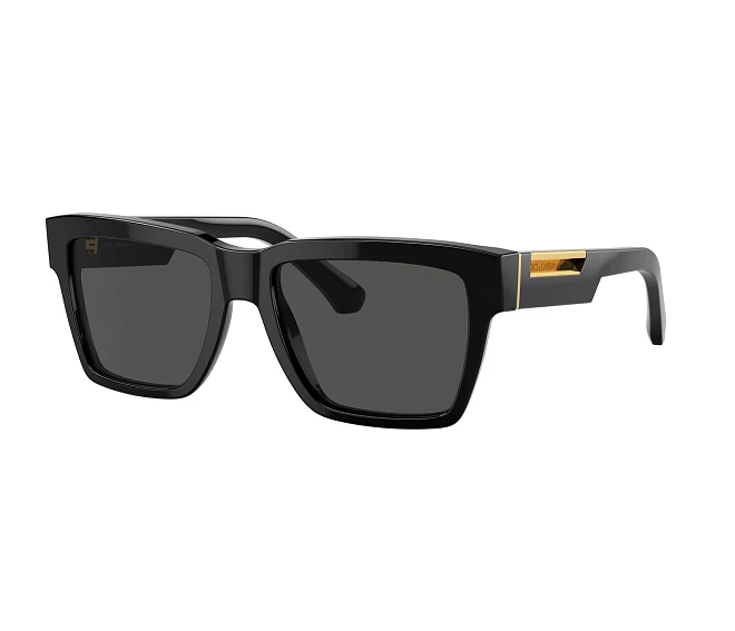 Lunettes de soleil Dolce & Gabbana DG4465 501/87 55 18 Noir