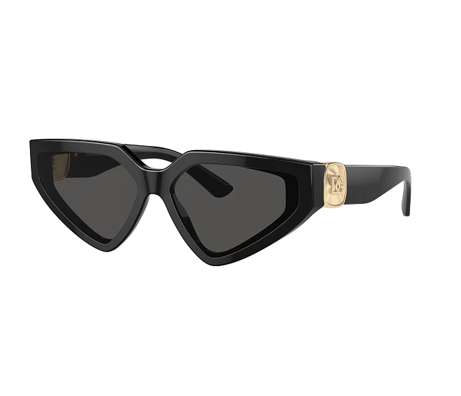 Lunettes de soleil Dolce & Gabbana DG4469 501/87 59 15 Noir