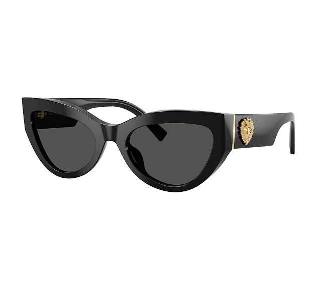 Lunettes de soleil Dolce & Gabbana DG4536 501/87 55 20 Noir