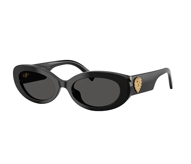 Lunettes de soleil Dolce & Gabbana DG4537 501/87 53 19 Noir
