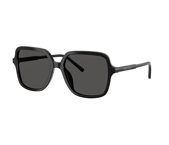 Lunettes de soleil Dolce & Gabbana DG4539 501/87 55 17 Noir