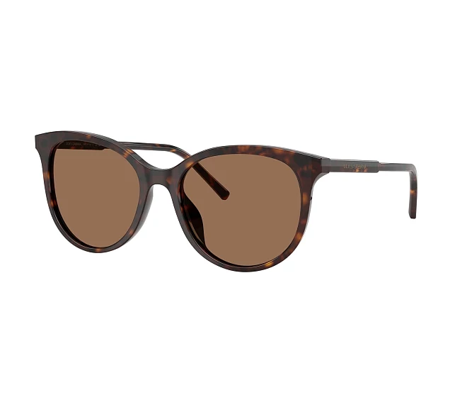 Lunettes de soleil Dolce & Gabbana DG4540 502/13 55 18 Havane