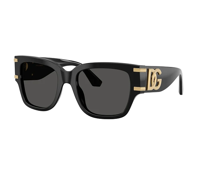 Lunettes de soleil Dolce & Gabbana DG4563 501/87 54 20 Noir