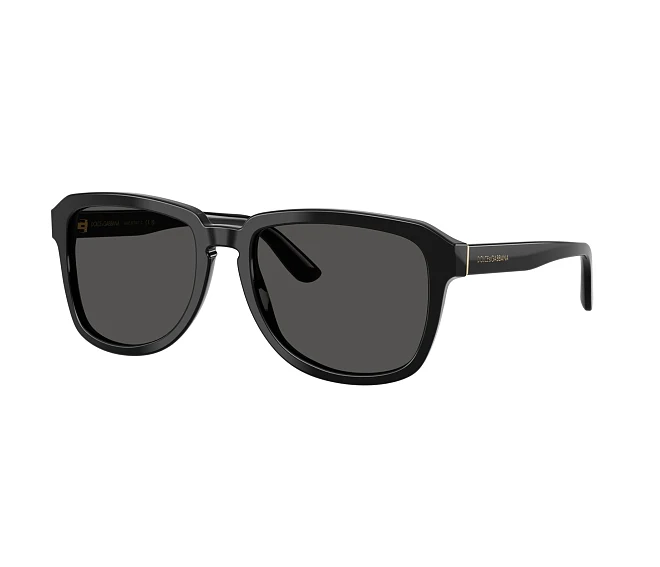 Lunettes de soleil Dolce & Gabbana DG4566 501/87 56 18 Noir