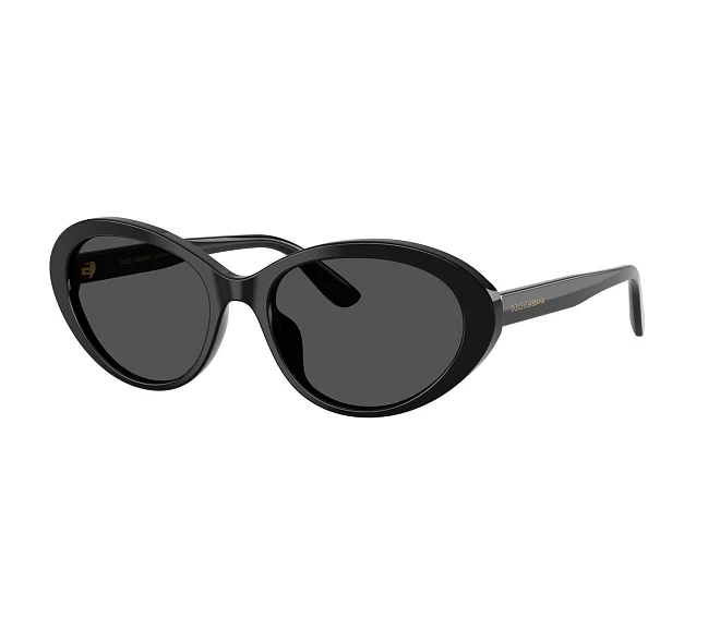 Lunettes de soleil Dolce & Gabbana DG4570 501/87 53 18 Noir