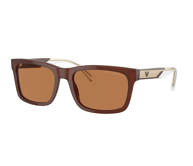 Lunettes de soleil Emporio Armani EA4224 609573 57 19 Marron