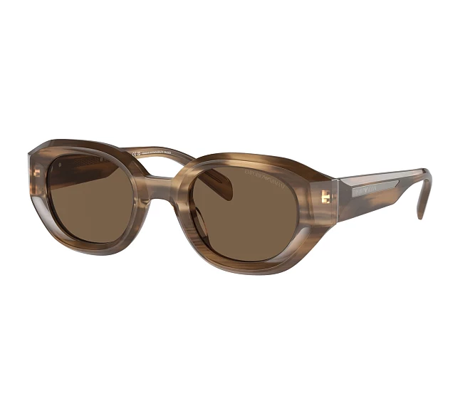 Lunettes de soleil Emporio Armani EA4230U 614973 48 25 Marron