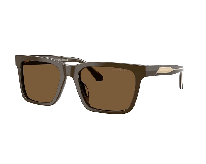 Lunettes de soleil Emporio Armani EA4262U 630773 57 19 Marron