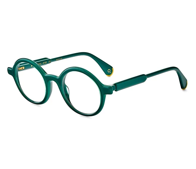 Lunettes de vue Etnia Barcelona BRUT35 DG 46 22 Vert